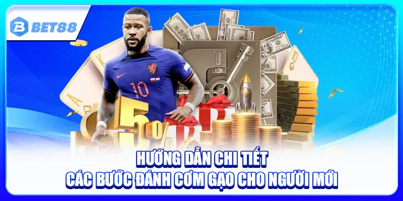 Cá Độ Bóng Đá Cơm Gạo