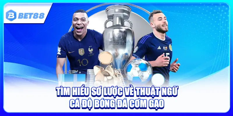 Cá Độ Bóng Đá Cơm Gạo